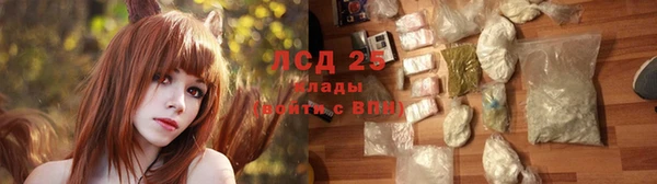 тгк Корсаков