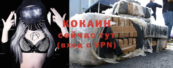 стафф Коряжма