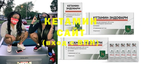 стафф Коряжма
