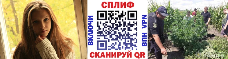 Купить  Лиски  Каннабис MAZAR 
